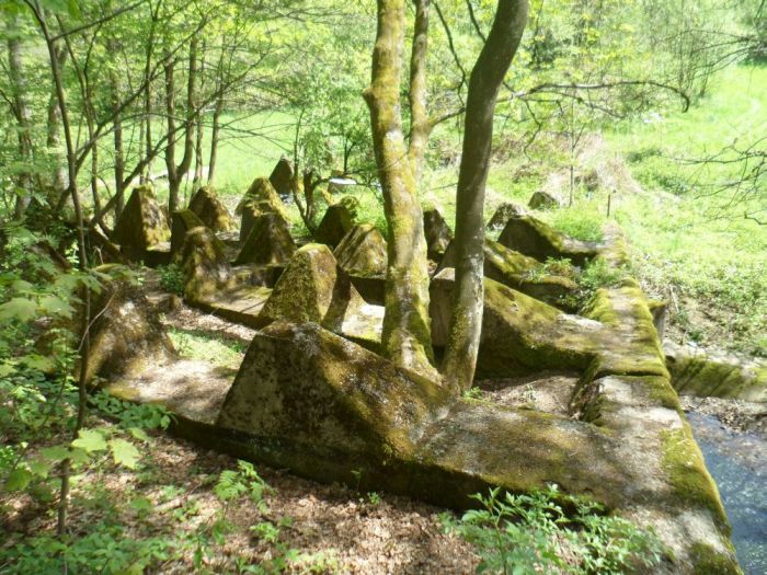 Roetgen Dragon Teeth