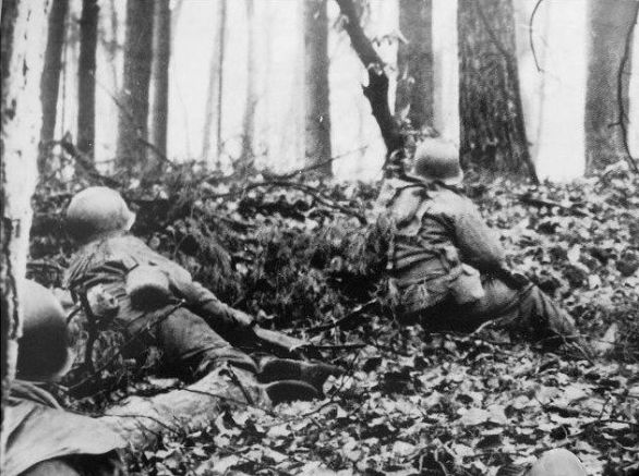 Infantry fighting in the Hurtgen Forest Infantry fighting in the Hurtgen Forest