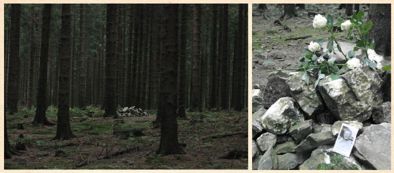 Forest Memorial Forest Memorial