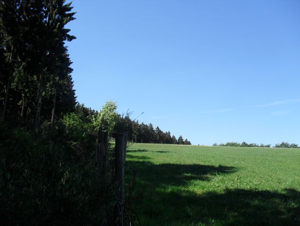 Germeter treeline west