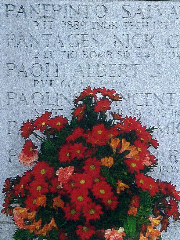 Flowers for Albert at the Wall of Missing.