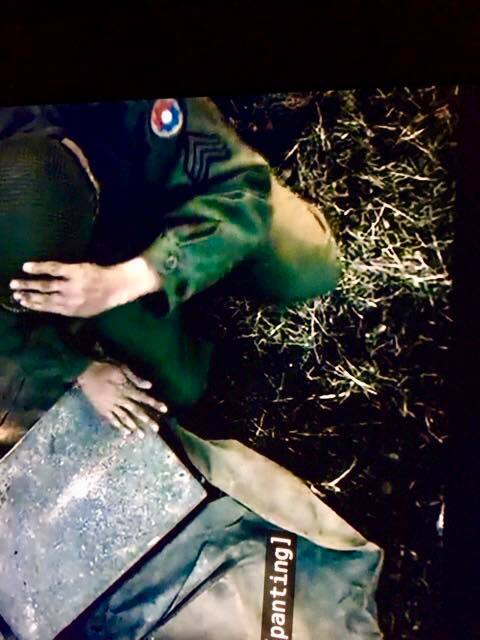 The Crown Forest Scene