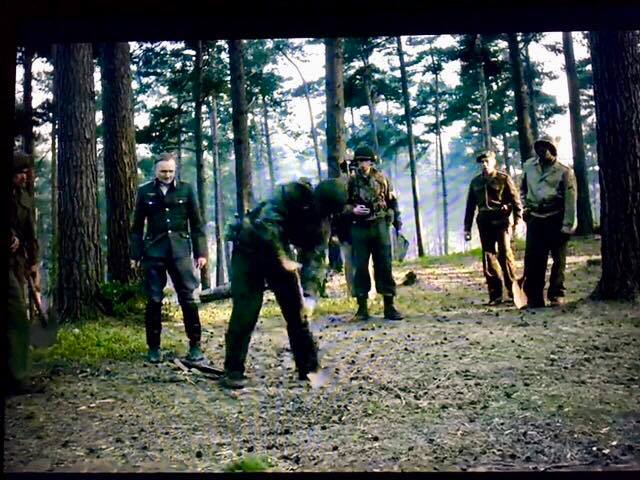 The Crown Forest Digging Scene